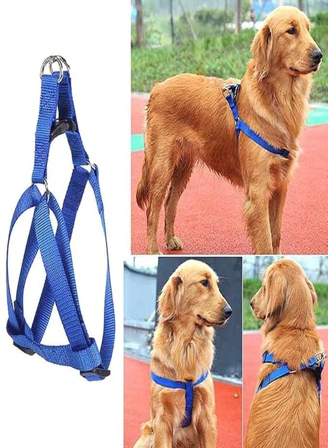 Pups&Pets طقم مقود نايلون قابل للتعديل من Pups&Pets مقاس 15 مم مع حزام، مناسب لتدريب/مشي الكلاب الصغيرة والجراء (أزرق) - Image 2